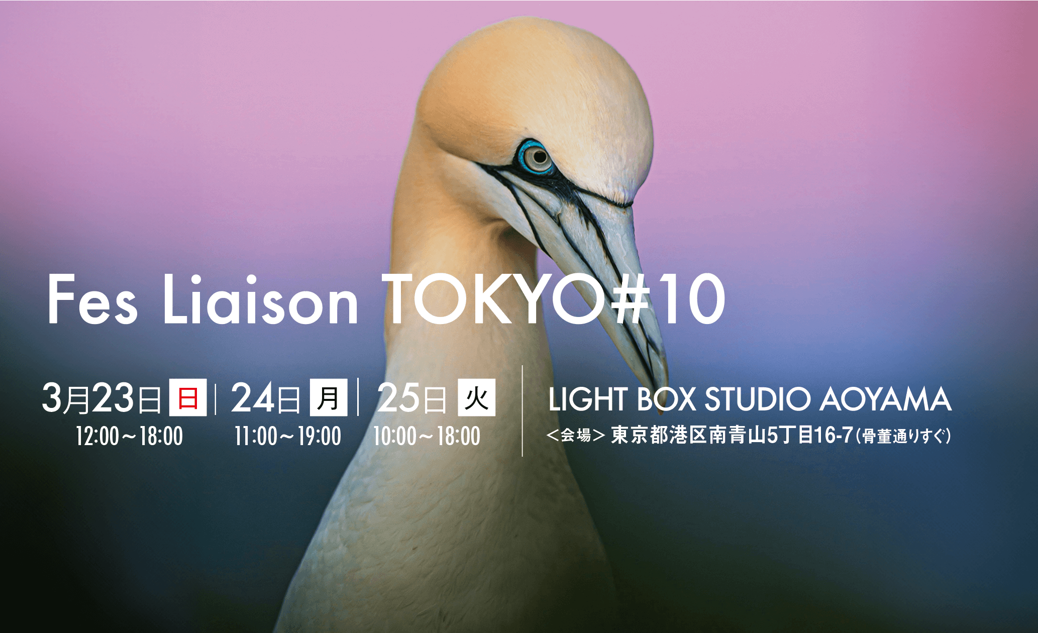 『第10回フェス・リエゾンTOKYO』に参加